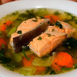 Царська уха